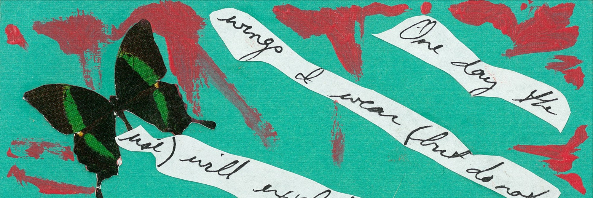 Butterfly with writing