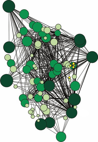 over 35 green dots connected by black lines. The lines and the dots overlap. 
